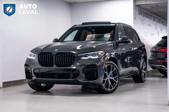 BMW X5 xDrive40i - INDIVIDUAL - SKY LOUNGE - DRAVIT GREY 2022