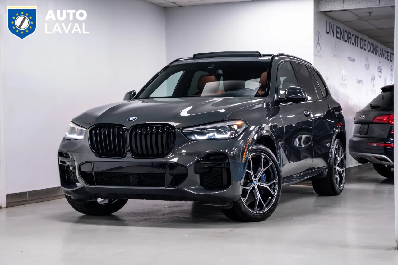 2022 BMW X5 xDrive40i - INDIVIDUAL - SKY LOUNGE - DRAVIT GREY Image principale